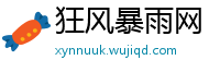 狂风暴雨网